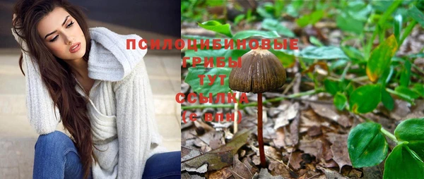 эйфоретик Белокуриха