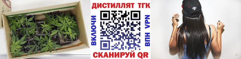 продажа наркотиков Великие Луки Дистиллят ТГК THC oil